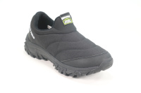 Torsion Field