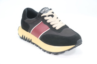 Torsion Field