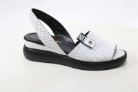 Shoes Market