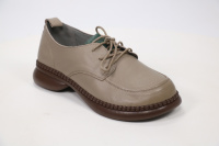 Covani