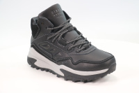 Torsion Field