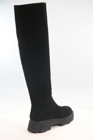 Сапоги и полусапоги Covani 50106683